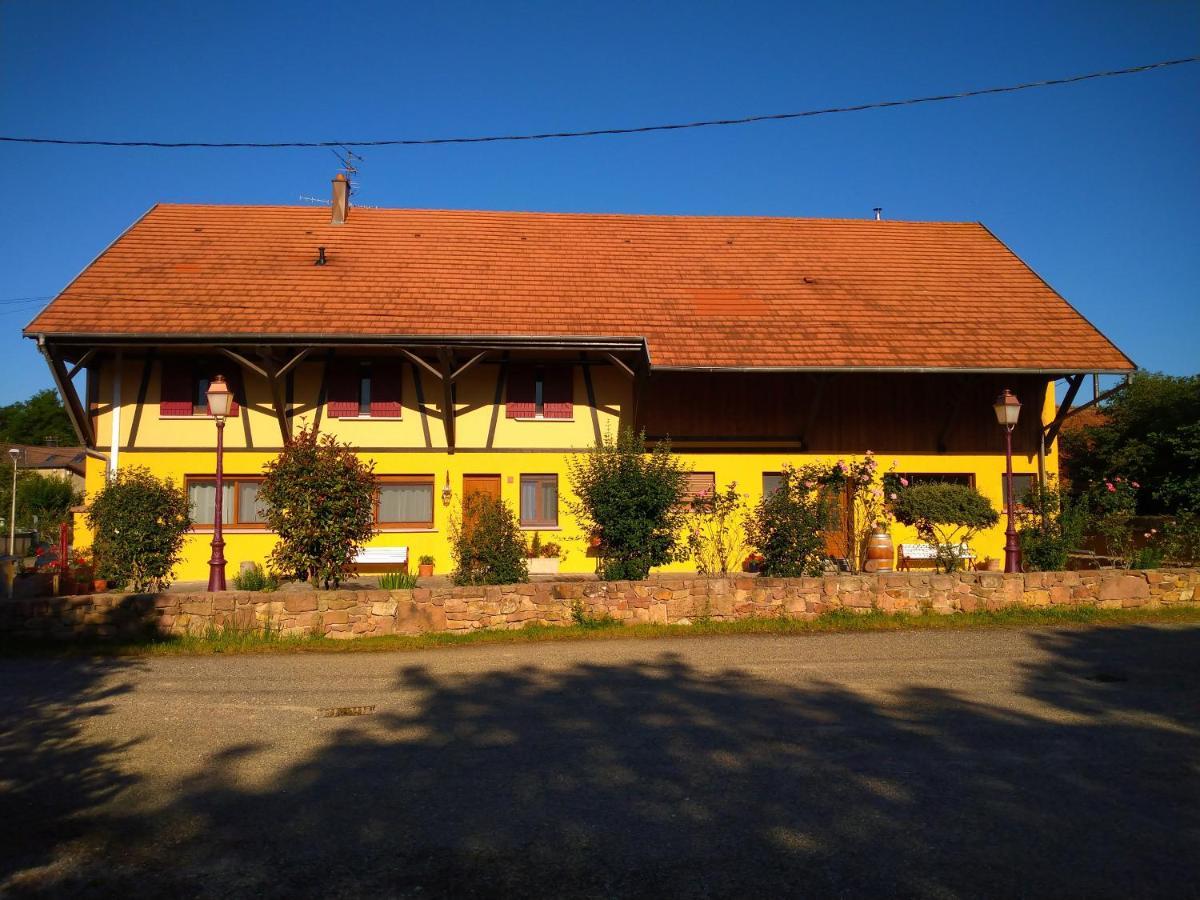 Le Pélican Apartamento Wittenheim Exterior foto