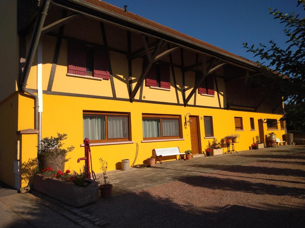 Le Pélican Apartamento Wittenheim Exterior foto